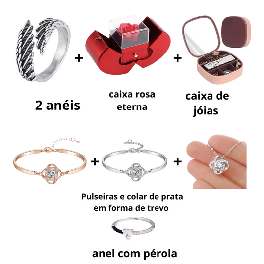 -Anel asa de anjo - Pack presente ÚNICO